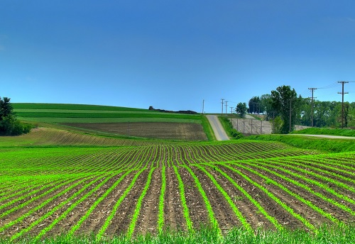 1653014543203179.png image.png