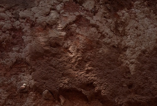 1656308957105760.png image.png