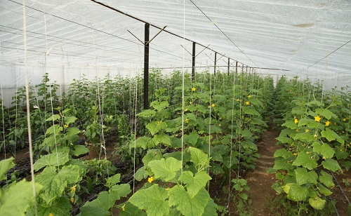 1656558575892931.png image.png