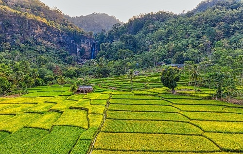 1660880227152030.png image.png