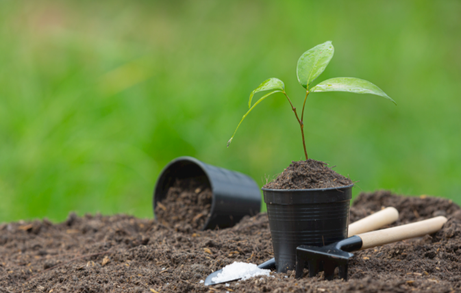 1684807237173620.png 土壤肥料養(yǎng)分速測儀